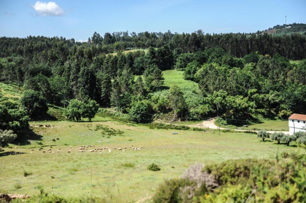 Vumba Agroturismo Arganil Εξωτερικό φωτογραφία