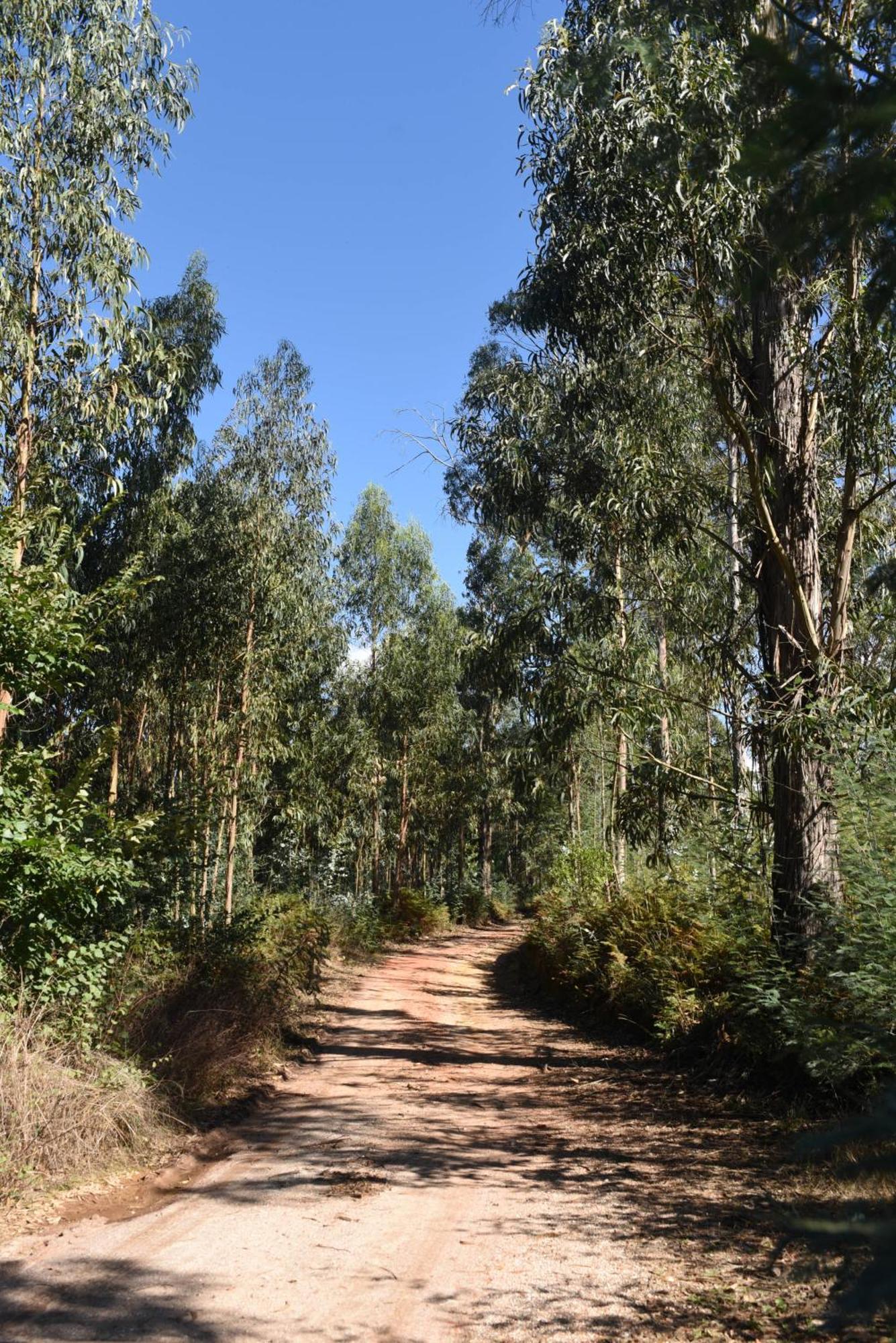 Vumba Agroturismo Arganil Εξωτερικό φωτογραφία