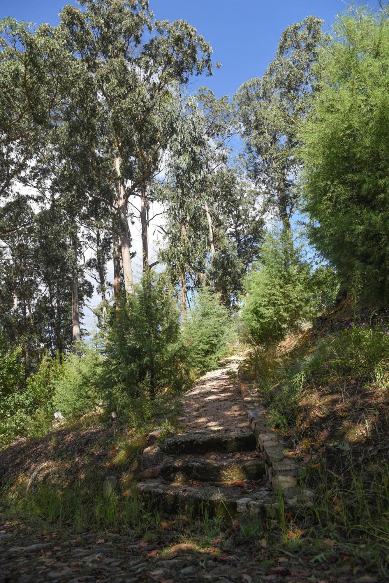 Vumba Agroturismo Arganil Εξωτερικό φωτογραφία