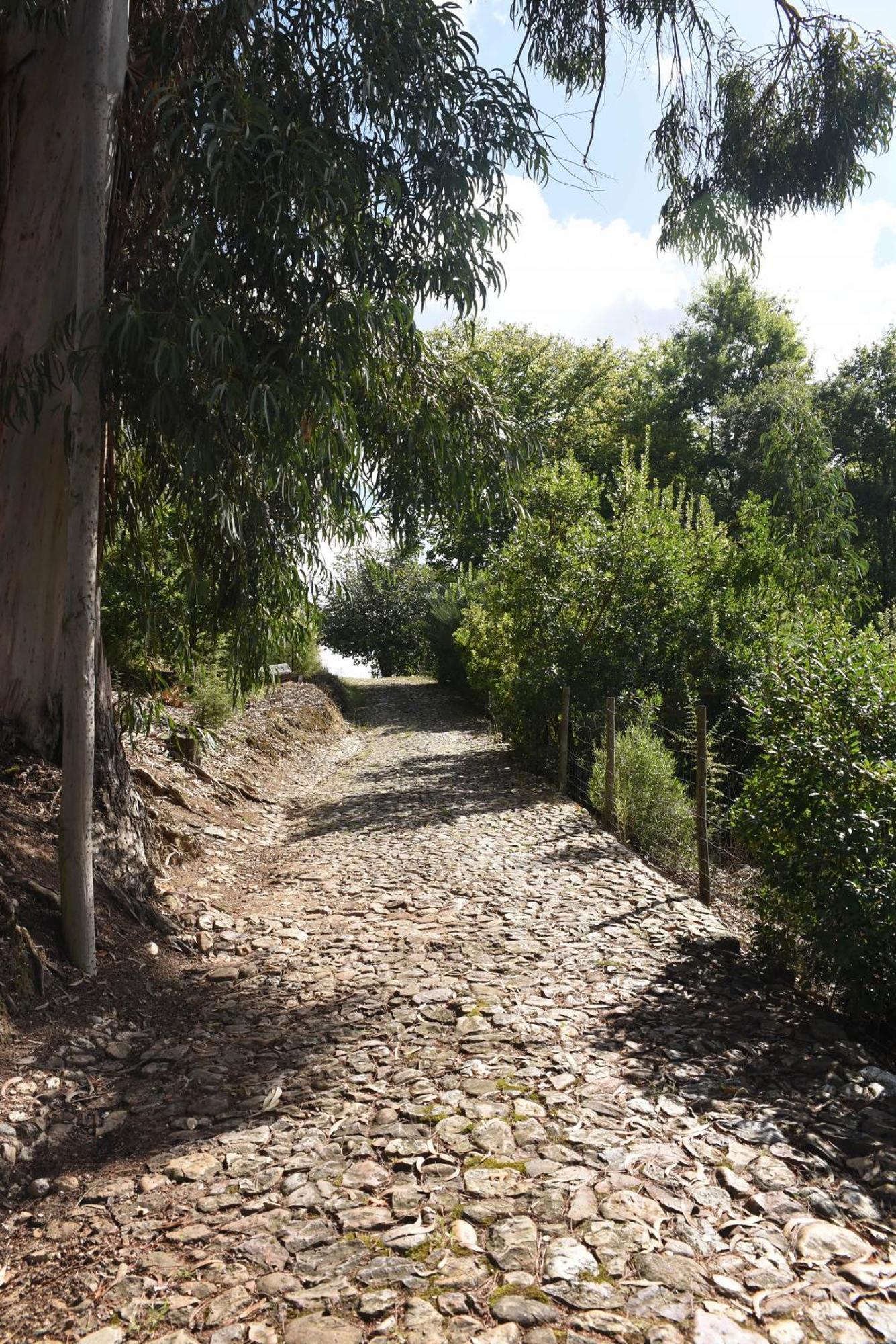 Vumba Agroturismo Arganil Εξωτερικό φωτογραφία